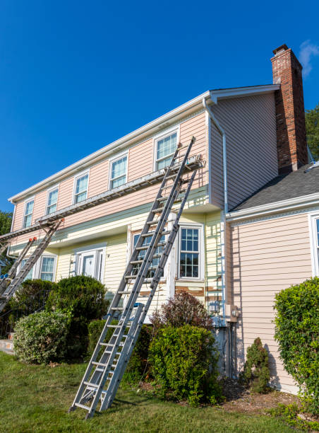 Best Historical Building Siding Restoration  in Springville, UT