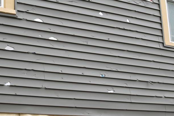 Best Steel Siding Installation  in Springville, UT