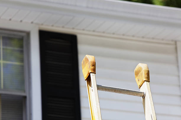 Best Custom Trim and Detailing for Siding  in Springville, UT