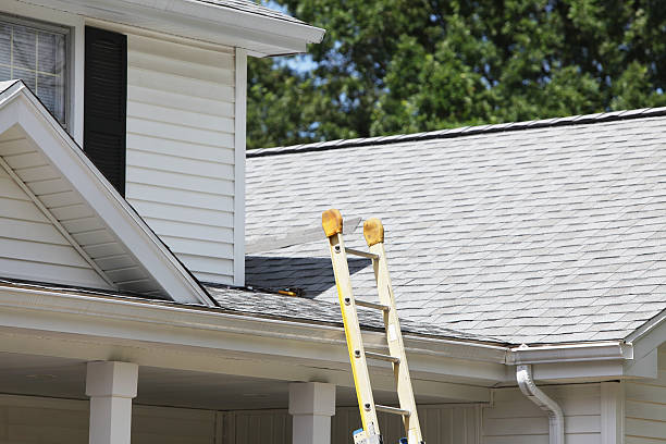 Best Siding for New Construction  in Springville, UT
